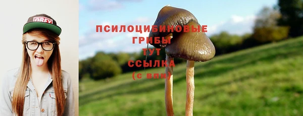 jwh Майский